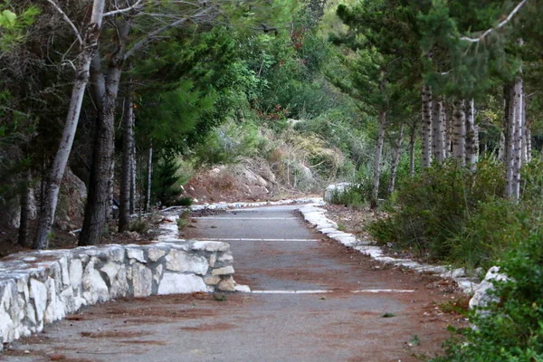 Camino Peatonal Parque Urbano Costa Mediterránea Norte Israel — Foto de Stock