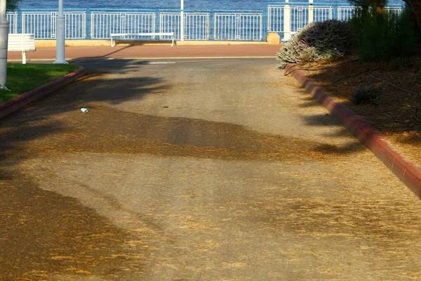 pedestrian road in a city park on the Mediterranean coast in northern Israel