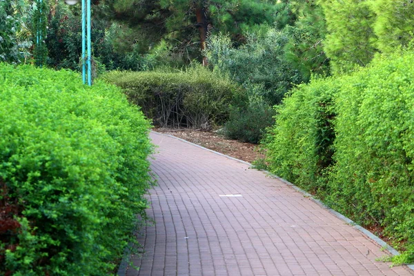 以色列北部地中海沿岸一个城市公园的人行横道 — 图库照片