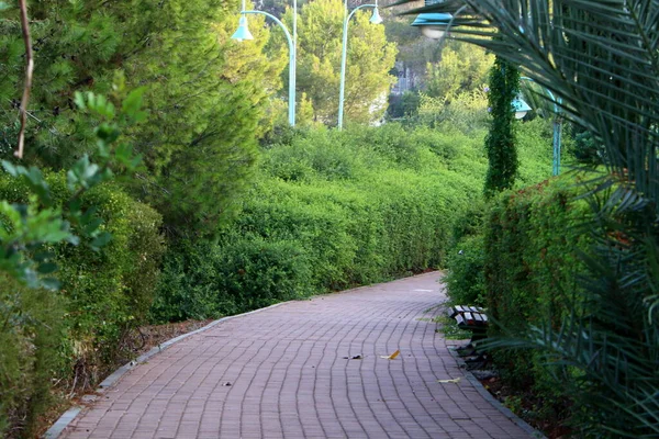 Пешеходная Дорога Городском Парке Средиземноморском Побережье Севере Израиля — стоковое фото