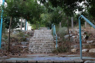 Merdiven, İsrail 'de konut inşaatının mimari bir ayrıntısıdır. Yükselme ve alçalma için bir dizi adım şeklinde bir yapı.. 