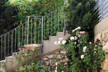 Merdiven, İsrail 'de konut inşaatının mimari bir ayrıntısıdır. Yükselme ve alçalma için bir dizi adım şeklinde bir yapı.. 