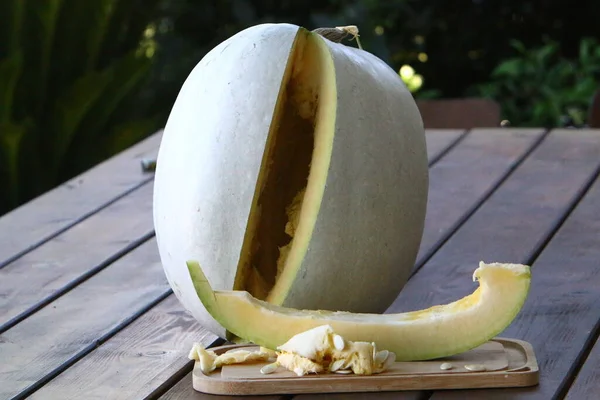 Une Grande Citrouille Blanche Grandi Dans Parc Ville Légumes Fruits — Photo