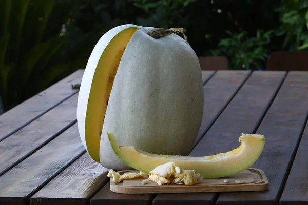 Une Grande Citrouille Blanche Grandi Dans Parc Ville Légumes Fruits — Photo