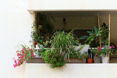 Balkon, İsrail 'deki konut inşaatının mimari bir ayrıntısıdır. Binanın üst katlarında parmaklıkları olan bir platform.. 