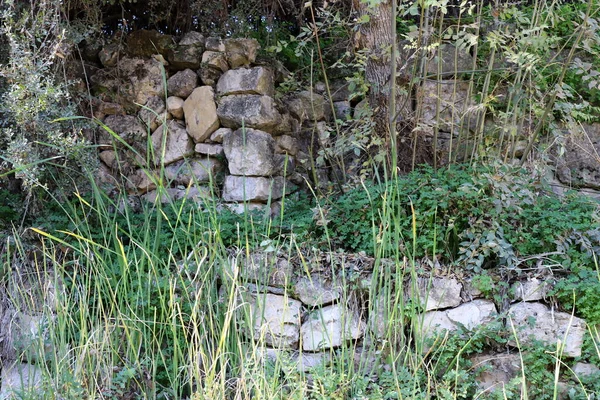 Ruínas Uma Antiga Muralha Pedra Norte Israel Ruínas Antiga Fortaleza — Fotografia de Stock