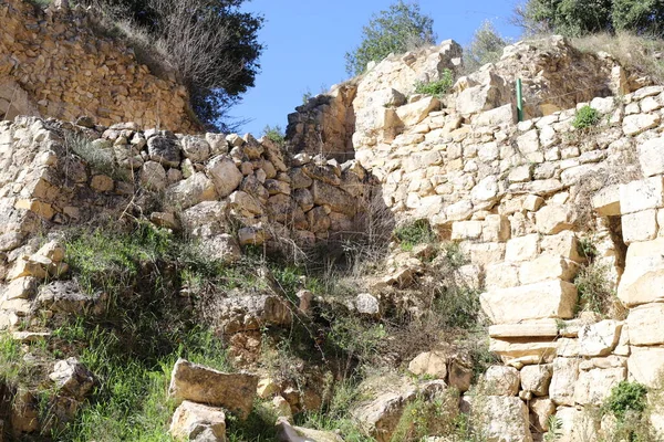 Ruins of an ancient stone fortress wall in northern Israel. The ruins of the ancient fortress of the Hospitallers