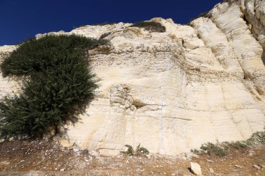 Rosh HaNikra 'daki beyaz tebeşir kayalıkları. Kuzey İsrail 'deki Rosh HaNikra Burnu İsrail ile Lübnan arasındaki sınırda.. 