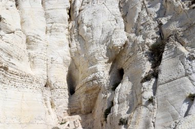 Rosh HaNikra 'daki beyaz tebeşir kayalıkları. Kuzey İsrail 'deki Rosh HaNikra Burnu İsrail ile Lübnan arasındaki sınırda.. 