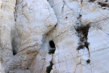 Rosh HaNikra 'daki beyaz tebeşir kayalıkları. Kuzey İsrail 'deki Rosh HaNikra Burnu İsrail ile Lübnan arasındaki sınırda.. 