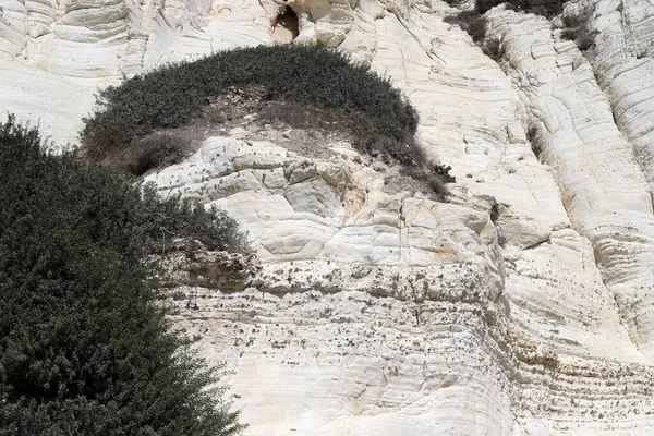 Rosh HaNikra 'daki beyaz tebeşir kayalıkları. Kuzey İsrail 'deki Rosh HaNikra Burnu İsrail ile Lübnan arasındaki sınırda.. 