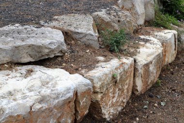 İsrail 'in kuzeyindeki Akdeniz kıyılarındaki bir şehir parkında taşlar var. 