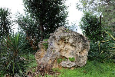 İsrail 'in kuzeyindeki Akdeniz kıyılarındaki bir şehir parkında taşlar var. 