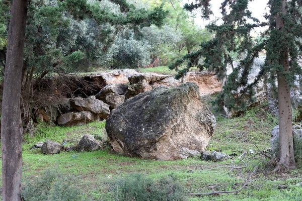 Kameny Leží Městském Parku Březích Středozemního Moře Severním Izraeli — Stock fotografie