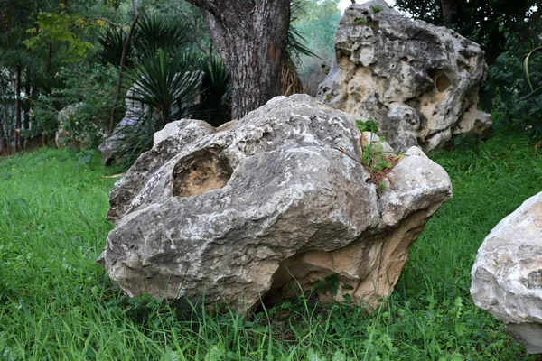 Piedras Encuentran Parque Ciudad Orillas Del Mediterráneo Norte Israel — Foto de Stock