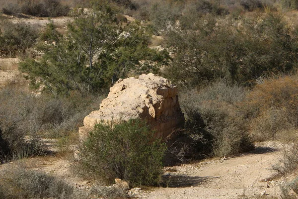 Pedras Encontram Parque Cidade Nas Margens Mediterrâneo Norte Israel — Fotografia de Stock