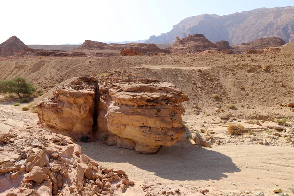 Pedras Encontram Parque Cidade Nas Margens Mediterrâneo Norte Israel — Fotografia de Stock