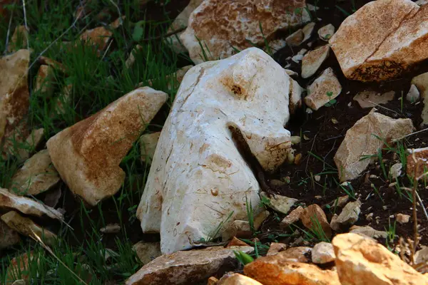 Pierres Trouvent Dans Parc Urbain Sur Les Rives Méditerranée Dans — Photo