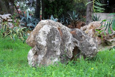 İsrail 'in kuzeyindeki Akdeniz kıyılarındaki bir şehir parkında taşlar var. 