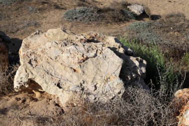 İsrail 'in kuzeyindeki Akdeniz kıyılarındaki bir şehir parkında taşlar var. 
