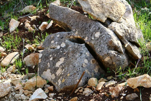 Piedras Encuentran Parque Ciudad Orillas Del Mediterráneo Norte Israel —  Fotos de Stock
