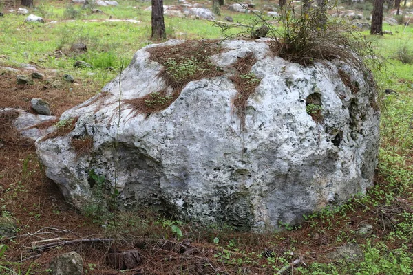 Piedras Encuentran Parque Ciudad Orillas Del Mediterráneo Norte Israel — Foto de Stock