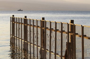 Dikenli tel ve metal örgüden yapılmış. COVID-19 Virüsü yüzünden Yalnız ve Karantinaya Alınmış Hissedin 