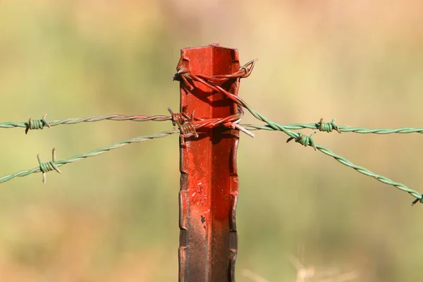 Szögesdrótból Fémhálóból Készült Kerítés Magányosnak Karantén Alá Helyezettnek Érzi Magát — Stock Fotó