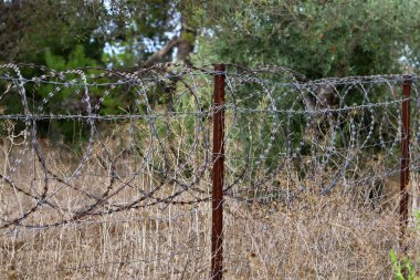 Dikenli tel ve metal örgüden yapılmış. COVID-19 Virüsü yüzünden Yalnız ve Karantinaya Alınmış Hissedin 