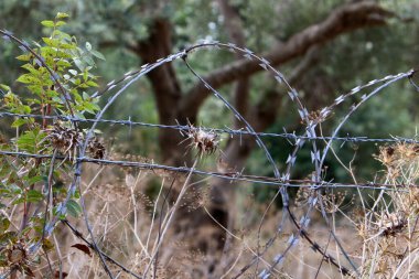 Dikenli tel ve metal örgüden yapılmış. COVID-19 Virüsü yüzünden Yalnız ve Karantinaya Alınmış Hissedin 