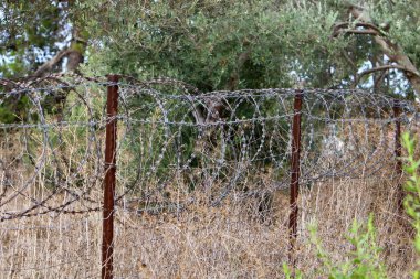 Dikenli tel ve metal örgüden yapılmış. COVID-19 Virüsü yüzünden Yalnız ve Karantinaya Alınmış Hissedin 