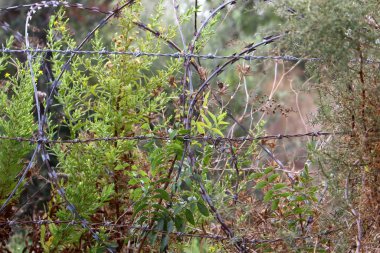 Dikenli tel ve metal örgüden yapılmış. COVID-19 Virüsü yüzünden Yalnız ve Karantinaya Alınmış Hissedin 
