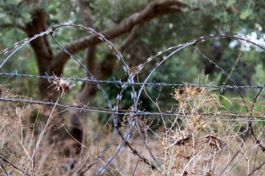 Dikenli tel ve metal örgüden yapılmış. COVID-19 Virüsü yüzünden Yalnız ve Karantinaya Alınmış Hissedin 
