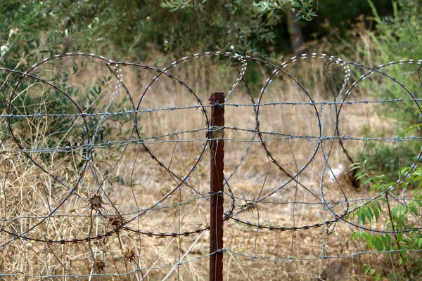 Πόδι Από Αγκαθωτό Σύρμα Και Μεταλλικό Πλέγμα Νιώστε Μοναξιά Και — Φωτογραφία Αρχείου