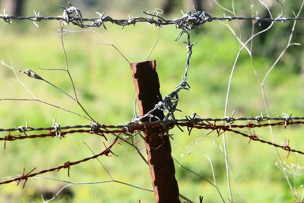 Dikenli Tel Metal Örgüden Yapılmış Covid Virüsü Yüzünden Yalnız Karantinaya — Stok fotoğraf
