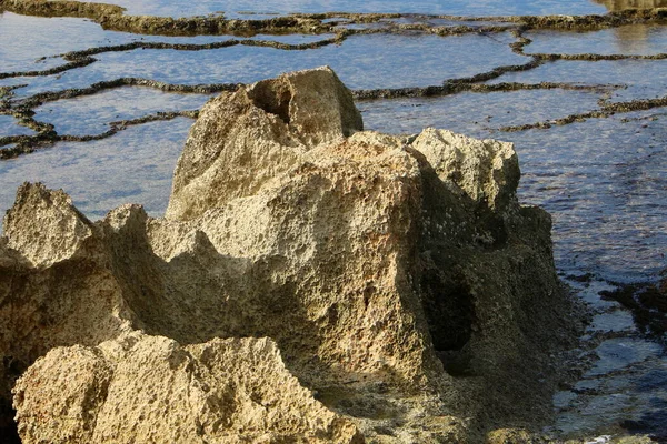 Uninhabited Mediterranean Coast Northern Israel Israel General Quarantine Due Corona — Stok fotoğraf