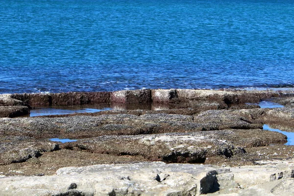 Uninhabited Mediterranean Coast Northern Israel Israel General Quarantine Due Corona — Stock fotografie