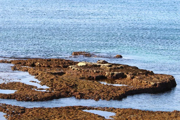 Uninhabited Mediterranean Coast Northern Israel Israel General Quarantine Due Corona — Fotografia de Stock