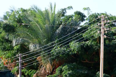 İsrail 'deki tarlalar ve dağlardan geçen yüksek voltajlı elektrik hatları 