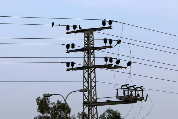 Líneas Eléctricas Alto Voltaje Través Campos Montañas Israel — Foto de Stock