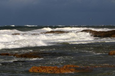 İsrail 'in kuzeyinde Akdeniz' de şiddetli fırtına, rüzgar ve sağanak yağış 