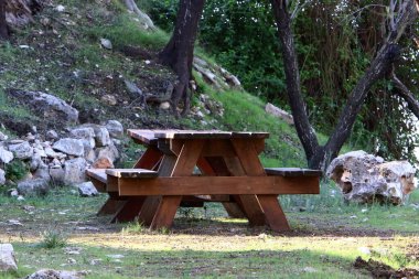 İsrail 'in kuzeyinde Akdeniz kıyısındaki bir şehir parkında dinlenmek için bir bank. 