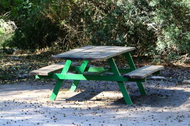 İsrail 'in kuzeyinde Akdeniz kıyısındaki bir şehir parkında dinlenmek için bir bank. 