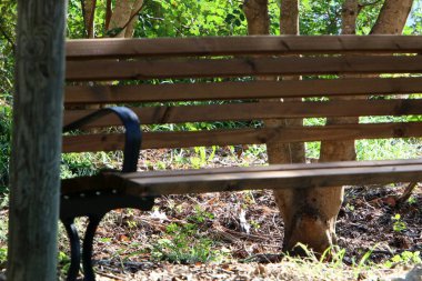 İsrail 'in kuzeyinde Akdeniz kıyısındaki bir şehir parkında dinlenmek için bir bank. 