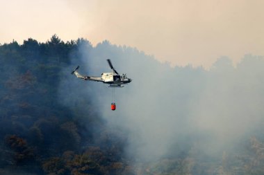 İsrail-Lübnan sınırındaki bir orman yangınını bir helikopter söndürdü. Ağaçlar ve çimenler yanıyor. 