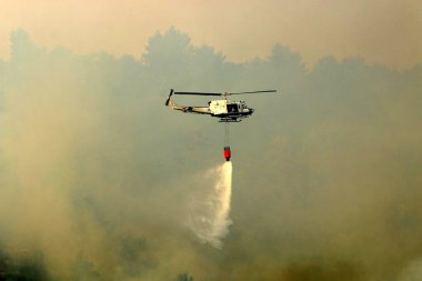 İsrail-Lübnan sınırındaki bir orman yangınını bir helikopter söndürdü. Ağaçlar ve çimenler yanıyor. 