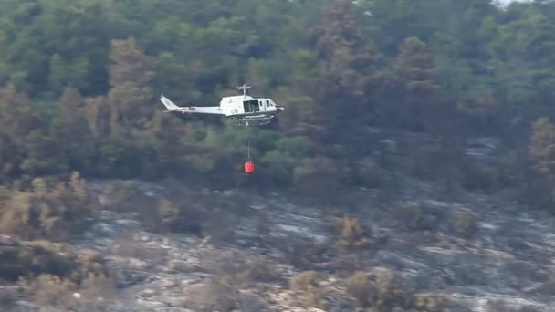 Vrtulník Uhasí Lesní Požár Izraelsko Libanonských Hranicích Stromy Tráva Hoří — Stock video