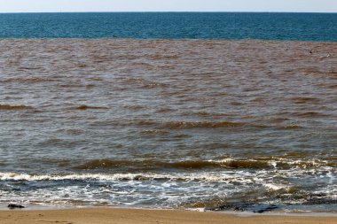 İsrail 'in kuzeyindeki Akdeniz' in kayalık kıyıları. 