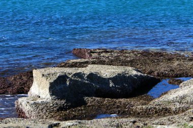 İsrail 'in kuzeyindeki Akdeniz' in kayalık kıyıları. 