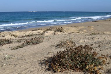 İsrail 'in kuzeyindeki Akdeniz' in kayalık kıyıları. 
